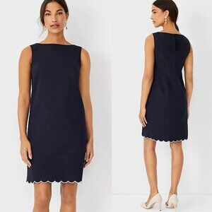 Ann Taylor Navy Scallop-Hem Sleeveless Shift Dress